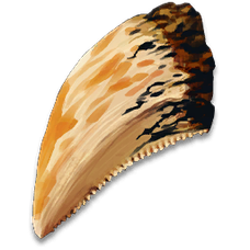 Infected Tooth.png