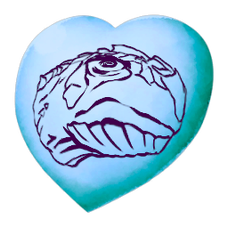 Chibi-Carbonemys.png