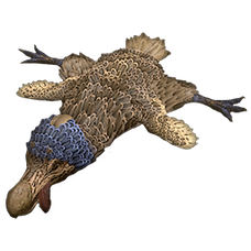 Mobile Dodo Rug.png