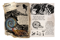 Dossier Ammonite.png