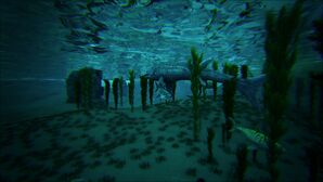 Ocean Under Center (The Center).jpg
