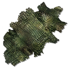 Dermis.png