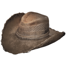 Rancher Hat Skin.png