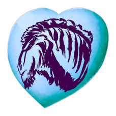 Chibi-Equus.png