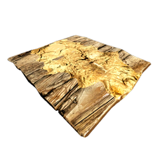 Adobe Trapdoor.png