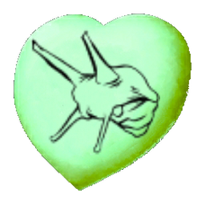 Chibi-Achatina.png
