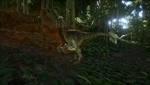 Alpha Raptor Image.jpg