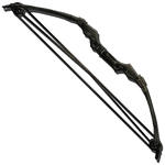 Compound Bow