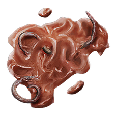 Worm Gum.png