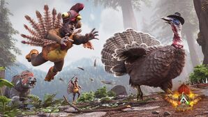 Turkey Trial 6.jpg