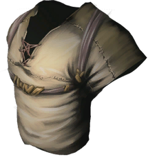 Cloth Shirt.png