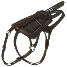 Ichthyosaurus Saddle.png