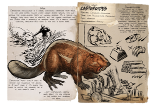 Dossier Castoroides.png