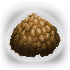 Basic Kibble.png