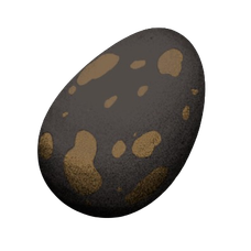 Dreadnoughtus Egg.png