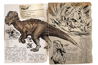 Dossier Pachy.png