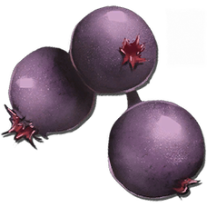 Mejoberry.png