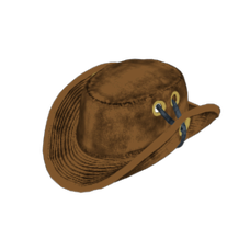 Hunter Hat Skin.png