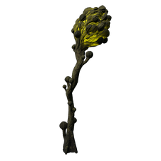 Flower.png
