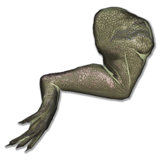 Mobile Frog Legs.png