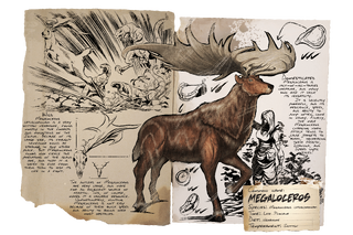 Dossier Megaloceros.png