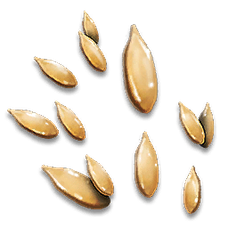 Cucumis Seed.png